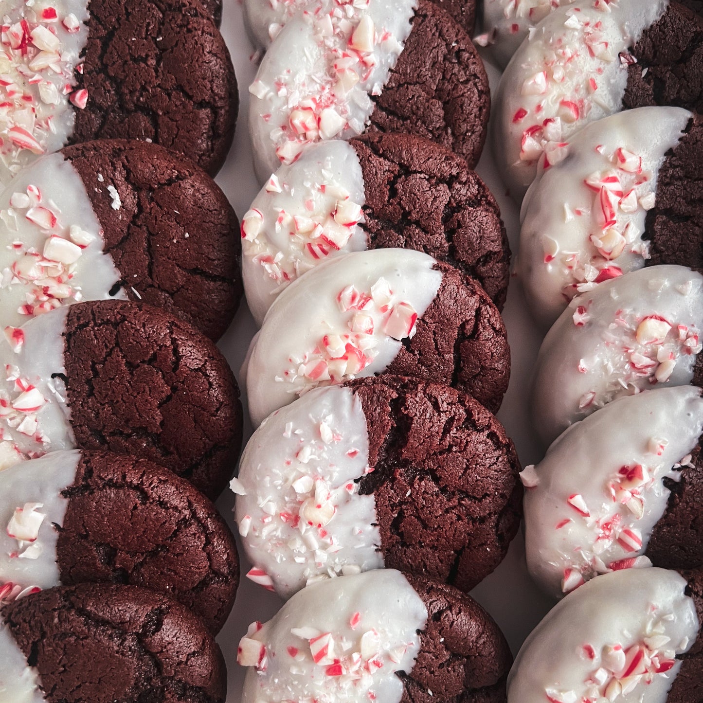 Chocolate Peppermint Cookies